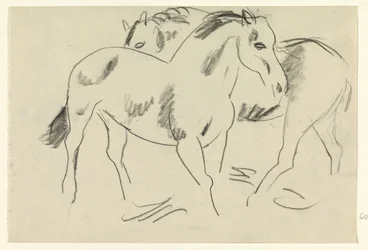 Dois cavalos