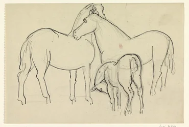 Dois cavalos e um potro