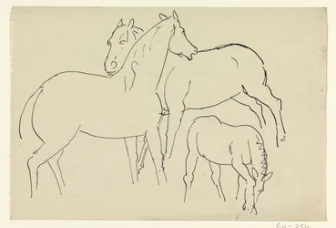 Dois cavalos e um potro