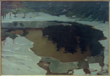 Lago da charneca no inverno