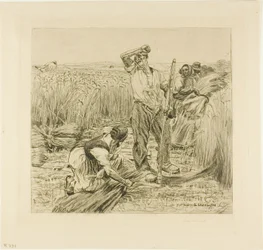 Colheita