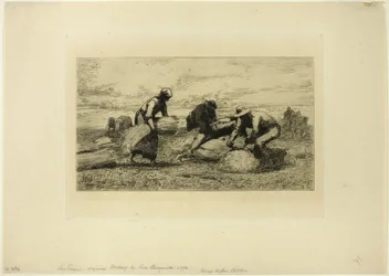 Os Ceifadores