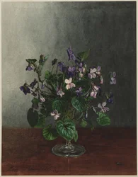 Ramo de violetas