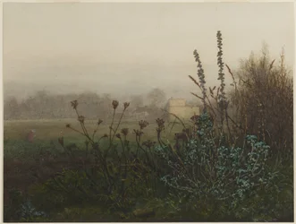 Paisagem rural
