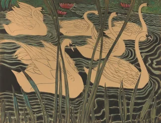 Cisnes