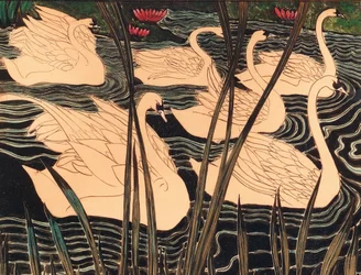 Cisnes, c. 1900.