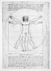 As proporções da figura humana (depois de Vitruvius), c.1492 (facsimile)
