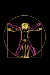 Homem Vitruviano de Leonardo da Vinci, c.1970