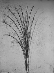 Um junco, c1480 1945