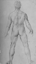 Um homem nu visto de costas, cerca de 1480 1945
