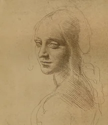 Uma cabeça feminina, c1472-c1519 1883,
