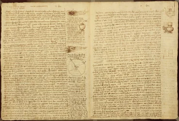 Uma página do Codex Leicester, 1508-12 (tinta sépia em papel de linho)