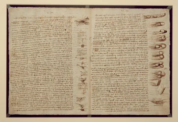 Uma página do Codex Leicester, 1508-12 (tinta sépia em papel de linho)