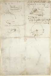 Arundel 263, f.126v Três notas e esboços sobre a água; um diagrama sobre o voo das aves, c.1500-5 (caneta e tinta sobre papel)
