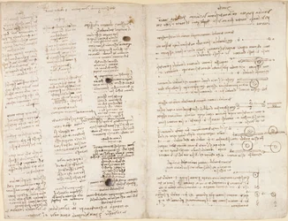 Arundel 263, f.42v, f.43 Textos curtos das profecias de Leonardo (