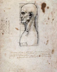Busto de um homem de perfil com medidas e notas (tinta sépia sobre papel de linho)