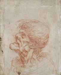 Caricatura Head Study of an Old Man, c.1500-05 (giz vermelho sobre papel)