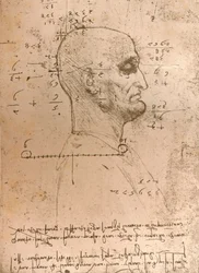 Desenho da cabeça de um criminoso, c1472-c1519 1883
