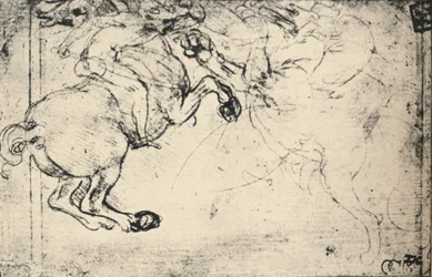 Luta entre um cavaleiro e um grifo, c1480 1945
