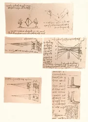 Cinco desenhos ilustrando a teoria da pintura, c1472-c1519 1883