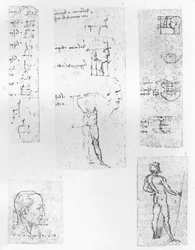 Cinco desenhos ilustrando a teoria das proporções da figura humana, c1472-c1519 1883