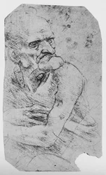 Caricatura a meio comprimento de um homem velho com um queixo proeminente, c1480 1945