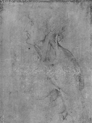 Cabeça e busto de um velho à esquerda, c1480 1945