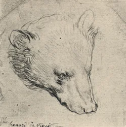 Cabeça de um urso, c1480 1945