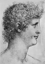 Chefe de uma Juventude em Perfil à Direita, c1480 1945