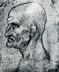 Cabeça de um homem velho, 1913