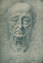 Cabeça de um homem idoso, século XV, 1932