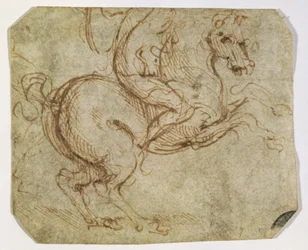 Cavalo e Cavalier (caneta e tinta no papel)