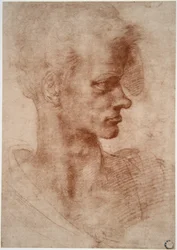 Leonardo da Vinci (1452 - 1519): Retrato caricatural de um homem jovem (Imagine)