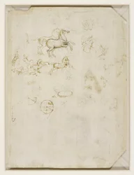 Leonardo da Vinci - Verso Cavalos empinados e a cabeça de Nero c.1503-4