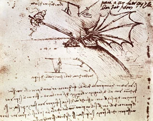 MS B fol.88v Testando a tolerância de carga de uma asa