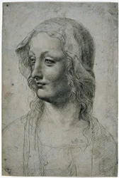 Maestro della Pala Sforzesca (aluna milanesa de Leonardo da Vinci), cabeça feminina com véu talvez um estudo para a Virgem, GDSU 426 E