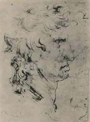 Perfil de um homem à direita, c1480 1945