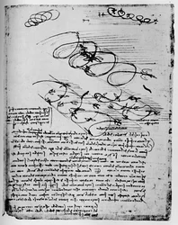 Estudos de aves em voo ao subir e circular, 1928