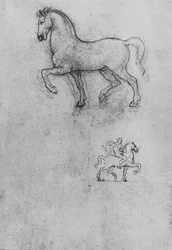 Estudos de um cavalo e um de um cavalo e cavaleiro, c1480 1945