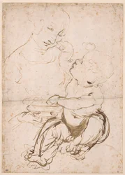 Estudo para a Madonna com uma fruteira, ca 1478.