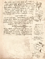 Estudo para o monumento de Sforza, c1482-c1499 1883