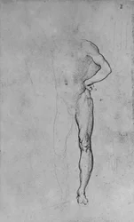 Estudo de um homem nu com a mão esquerda no quadril, c1480 1945