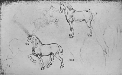 Dois estudos de cavalos, um de um cavaleiro galopante e outros de pernas de cavalo, c1480 1945