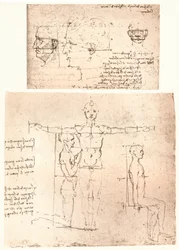 Dois desenhos ilustrando a teoria das proporções da figura humana, c1472-c1519 1883.