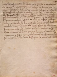 Extracto não assinado de The Codex Trivulzianus