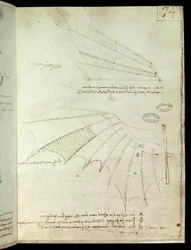 Asa. Desenho da máquina voadora. Manuscrito de Leonard De Vinci (Leonardo da Vinci