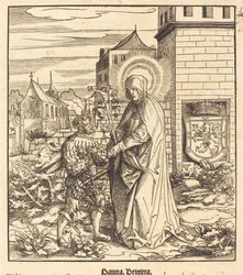 Santa Brigita
