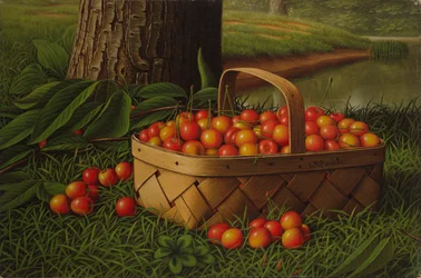 Cerejas em uma cesta