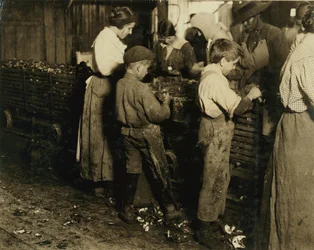 Jimmie, de 10 anos, que faz 3 anos (6 potes por dia) com um garoto de 11 anos que usa 7 potes na Varn e na Platt Canning Co., Bluffton, Carolina do Sul, 1913