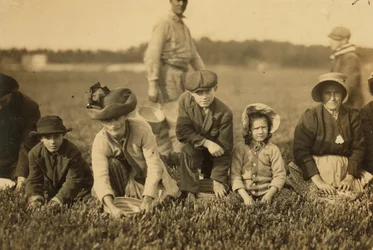 Annette Roy disse ser 7 e Napoleon Ruel disse ser 9 colhendo cranberries em Smart&39;s Bog, South Carver, Massachusetts, 1911